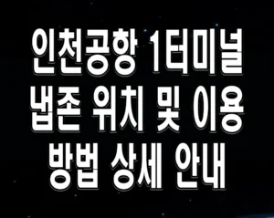 인천공항 1터미널 냅존 위치 및 이용 방법 상세 안내