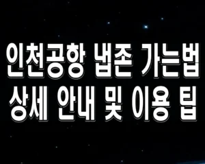 인천공항 냅존 가는법 상세 안내 및 이용 팁