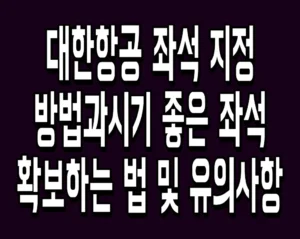 대한항공 좌석 지정 방법과 시기 좋은 좌석 확보하는 법 및 유의사항
