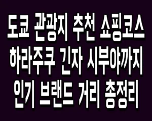 도쿄 관광지 추천 쇼핑코스 하라주쿠 긴자 시부야까지 인기 브랜드 거리 총정리