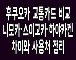후쿠오카 교통카드 비교 니모카·스이고카·하야카켄 차이와 사용처 정리