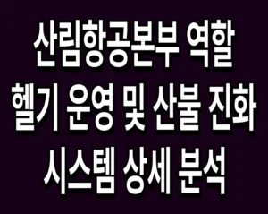 산림항공본부 역할 헬기 운영 및 산불 진화 시스템 상세 분석