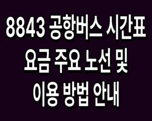 8843 공항버스 시간표 요금 주요 노선 및 이용 방법 안내