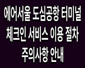 에어서울 도심공항 터미널 체크인 서비스 이용 절차 및 주의사항 안내