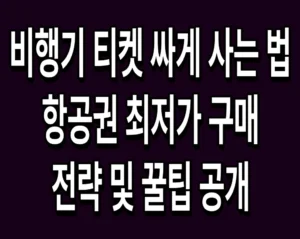 비행기 티켓 싸게 사는 법 항공권 최저가 구매 전략 및 꿀팁 공개