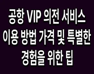 공항 VIP 의전 서비스 이용 방법 가격 및 특별한 경험을 위한 팁