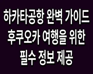 하카타공항 완벽 가이드 후쿠오카 여행을 위한 필수 정보 제공