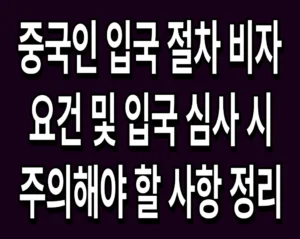 중국인 입국 절차 비자 요건 및 입국 심사 시 주의해야 할 사항 정리