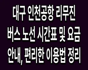대구 인천공항 리무진 버스 노선 시간표 및 요금 안내, 편리한 이용법 정리