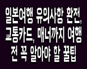 일본여행 유의사항 환전, 교통카드, 매너까지 여행 전 꼭 알아야 할 꿀팁