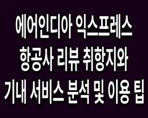 에어인디아 익스프레스 항공사 리뷰 취항지와 기내 서비스 분석 및 이용 팁