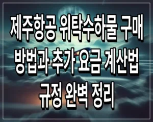제주항공 위탁수하물 구매 방법과 추가 요금 계산법 규정 완벽 정리