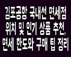 김포공항 국내선 면세점 위치 및 인기 상품 추천, 면세 한도와 구매 팁 정리