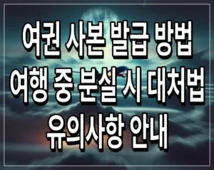 여권 사본 발급 방법 여행 중 분실 시 대처법 및 유의사항 안내