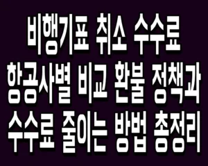 비행기표 취소 수수료 항공사별 비교 환불 정책과 수수료 줄이는 방법 총정리