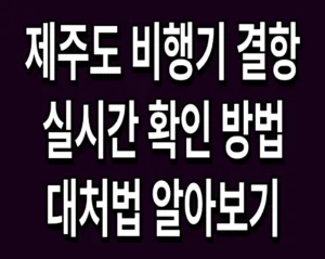 제주도 비행기 결항 실시간 확인 방법 및 대처법 알아보기