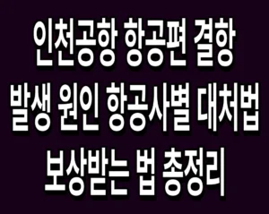 인천공항 항공편 결항 발생 원인 항공사별 대처법 및 보상받는 법 총정리