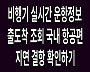 비행기 실시간 운항정보 출도착 조회 국내 항공편 지연 결항 확인하기