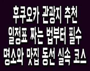후쿠오카 관광지 추천 일정표 짜는 법부터 필수 명소와 맛집 동선 실속 코스
