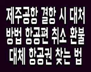 제주공항 결항 시 대처 방법 항공편 취소 환불 대체 항공권 찾는 법