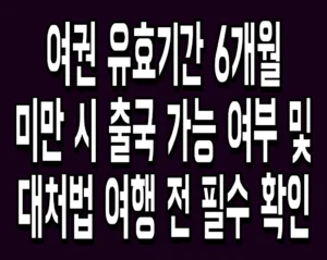 여권 유효기간 6개월 미만 시 출국 가능 여부 및 대처법 여행 전 필수 확인