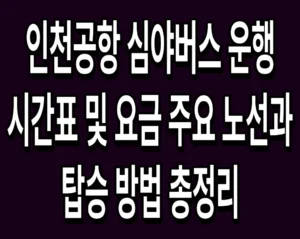 인천공항 심야버스 운행 시간표 및 요금 주요 노선과 탑승 방법 총정리