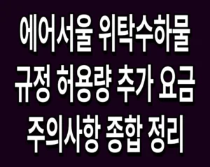 에어서울 위탁수하물 규정 허용량 추가 요금 및 주의사항 종합 정리