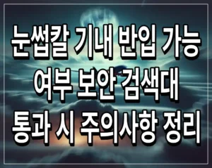 눈썹칼 기내 반입 가능 여부 보안 검색대 통과 시 주의사항 정리
