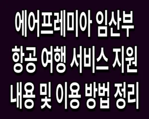 에어프레미아 임산부 항공 여행 서비스 지원 내용 및 이용 방법 정리