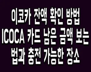 이코카 잔액 확인 방법 ICOCA 카드 남은 금액 보는 법과 충전 가능한 장소
