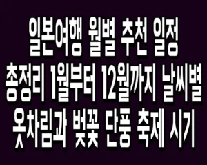 일본여행 월별 추천 일정 총정리 1월부터 12월까지 날씨별 옷차림과 벚꽃 단풍 축제 시기