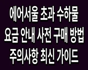 에어서울 초과 수하물 요금 안내 사전 구매 방법 및 주의사항 최신 가이드