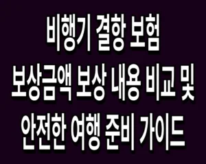 비행기 결항 보험 보상금액 보상 내용 비교 및 안전한 여행 준비 가이드