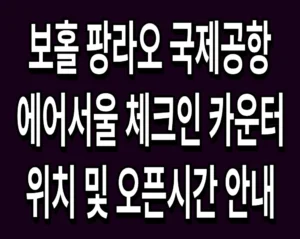 보홀 팡라오 국제공항 에어서울 체크인 카운터 위치 및 오픈시간 안내