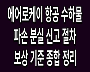 에어로케이 항공 수하물 파손 분실 신고 절차 및 보상 기준 종합 정리