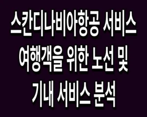 스칸디나비아항공 서비스 여행객을 위한 노선 및 기내 서비스 분석