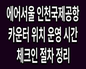 에어서울 인천국제공항 카운터 위치 운영 시간 체크인 절차 정리