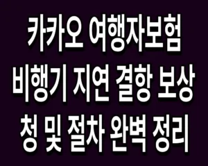 카카오 여행자보험 비행기 지연 결항 보상 신청 및 절차 완벽 정리