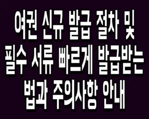 여권 신규 발급 절차 및 필수 서류 빠르게 발급받는 법과 주의사항 안내