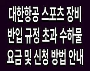 대한항공 스포츠 장비 반입 규정 초과 수하물 요금 및 신청 방법 안내