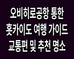 오비히로공항 통한 홋카이도 여행 가이드 교통편 및 추천 명소