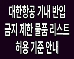 대한항공 기내 반입 금지 제한 물품 리스트 및 허용 기준 안내