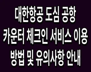 대한항공 도심 공항 카운터 체크인 서비스 이용 방법 및 유의사항 안내