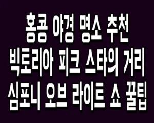 홍콩 야경 명소 추천 빅토리아 피크 스타의 거리 심포니 오브 라이트 쇼 꿀팁