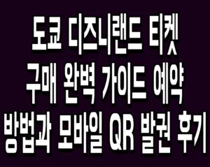 도쿄 디즈니랜드 티켓 구매 완벽 가이드 예약 방법과 모바일 QR 발권 후기