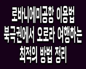 로바니에미공항 이용법 북극권에서 오로라 여행하는 최적의 방법 정리