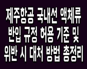 제주항공 국내선 액체류 반입 규정 허용 기준 및 위반 시 대처 방법 총정리