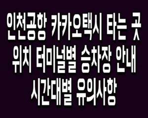 인천공항 카카오택시 타는 곳 위치 터미널별 승차장 안내 시간대별 유의사항