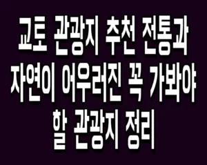 교토 관광지 추천 전통과 자연이 어우러진 꼭 가봐야 할 관광지 정리
