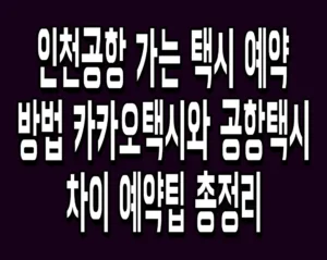 인천공항 가는 택시 예약 방법 카카오택시와 공항택시 차이 예약팁 총정리
